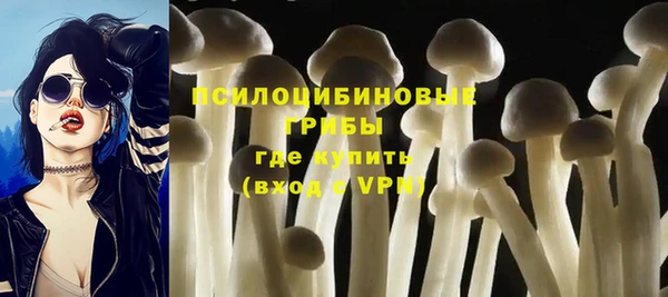 a pvp Белоозёрский