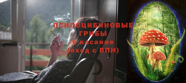 марки lsd Белокуриха