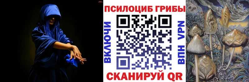 Псилоцибиновые грибы GOLDEN TEACHER  Реутов 